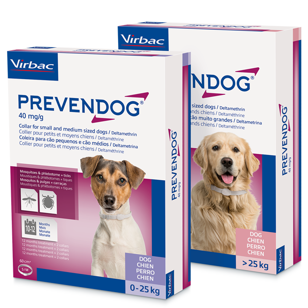 COLLAR PREVENDOG 60cm  2UDS