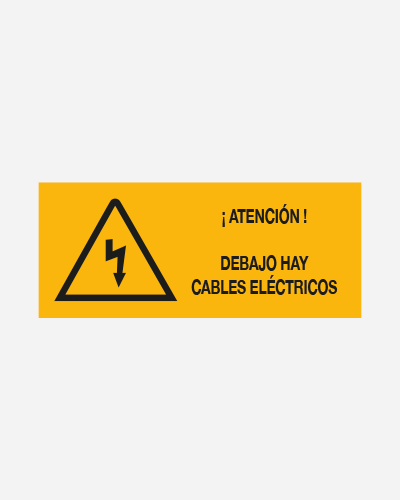 31305 CCS