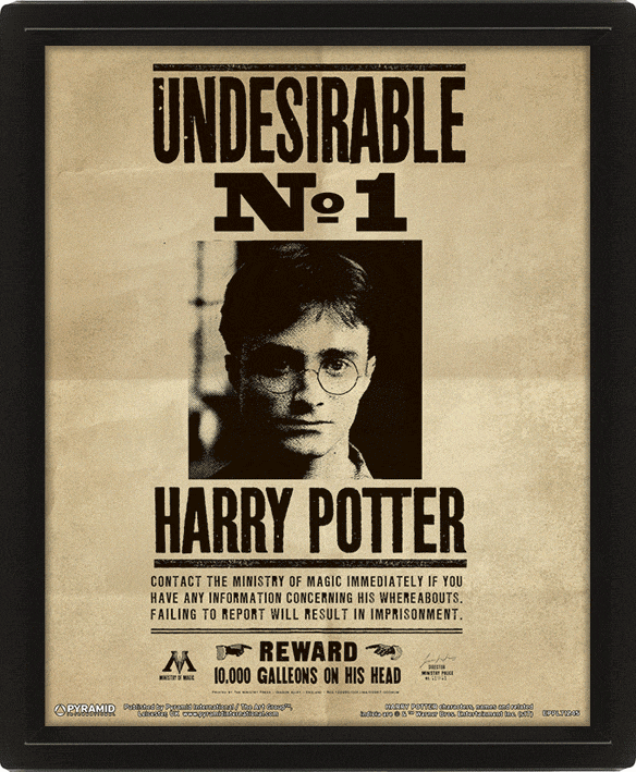 Poster 3D Harry Potter