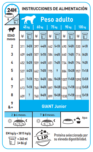 GIANT PUPPY - 7